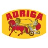 Auriga